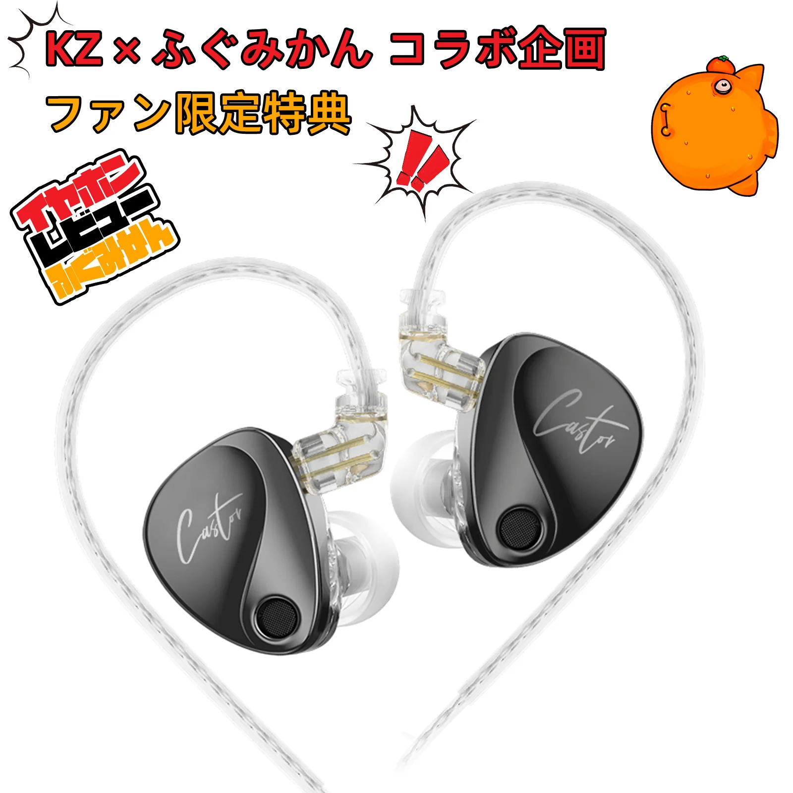 KZ Castor - Image 2
